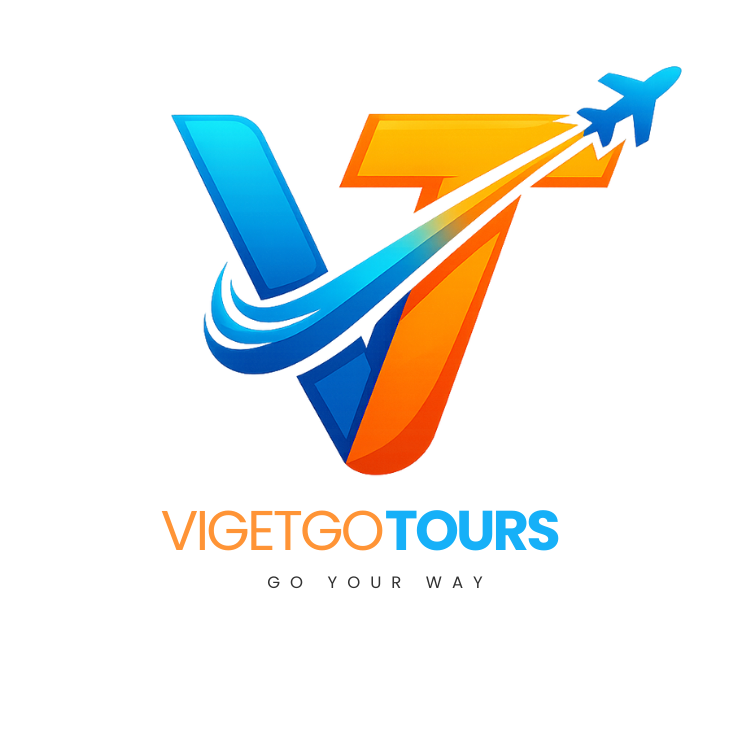 vigetgotours.com